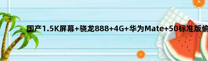国产1.5K屏幕+骁龙888 4G 华为Mate 50标准版偷跑