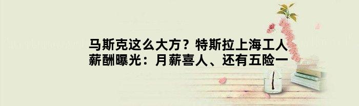 马斯克这么大方？特斯拉上海工人薪酬曝光：月薪喜人、还有五险一金