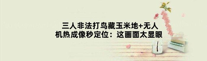 三人非法打鸟藏玉米地 无人机热成像秒定位：这画面太显眼