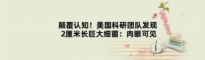 颠覆认知！美国科研团队发现2厘米长巨大细菌：肉眼可见