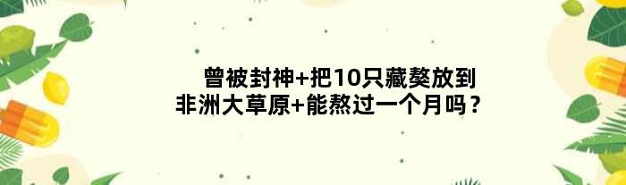 曾被封神 把10只藏獒放到非洲大草原 能熬过一个月吗？