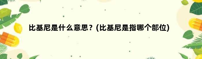 比基尼是什么意思？(比基尼是指哪个部位)