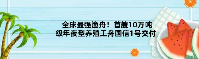 全球最强渔舟！首艘10万吨级年夜型养殖工舟“国信1号”交付