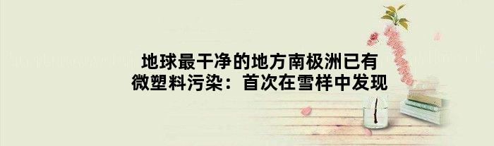 地球“最干净”的地方南极洲已有微塑料污染：在雪样中发现