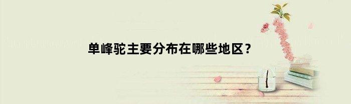 单峰驼主要分布在哪些地区？