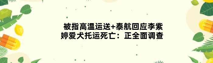 被指高温运送 泰航回应李紫婷爱犬托运死亡：正全面调查