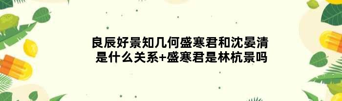 良辰好景知几何盛寒君和沈晏清是什么关系 盛寒君是林杭景吗
