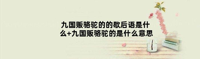 九国贩骆驼的的歇后语是什么 九国贩骆驼的是什么意思