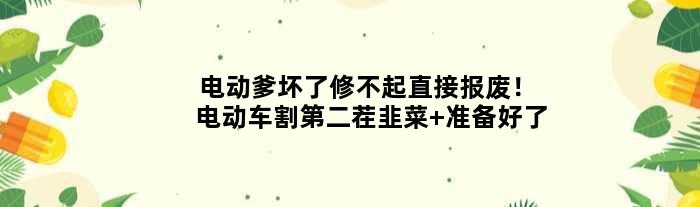 电动爹坏了修不起直接报废！电动车割第二茬韭菜 准备好了