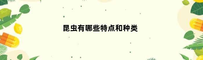昆虫有哪些特点和种类