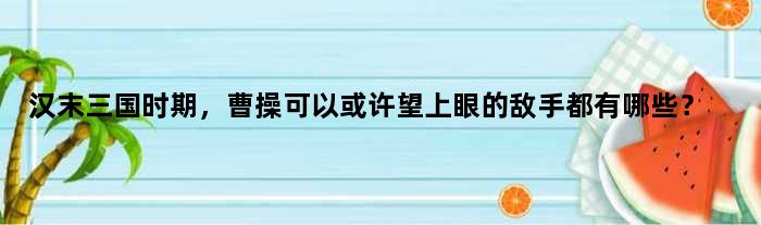 汉末三国时期，曹操可以或许望上眼的敌手都有哪些？