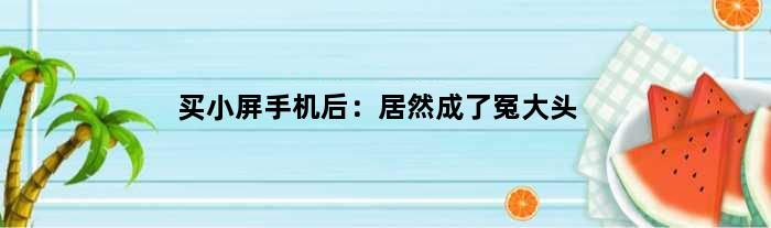 买小屏手机后：居然成了冤大头