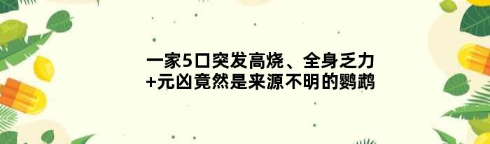 一家5口突发高烧、全身乏力 “元凶”竟然是来源不明的鹦鹉
