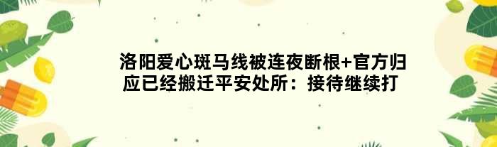 洛阳爱心斑马线被连夜断根 官方归应已经搬迁平安处所：接待继续打卡