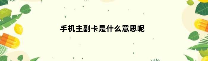 手机主副卡是什么意思呢
