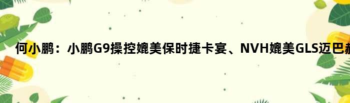 何小鹏：小鹏G9操控媲美保时捷卡宴、NVH媲美GLS迈巴赫