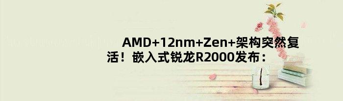 AMD 12nm Zen+架构突然复活！嵌入式锐龙R2000发布：还有双核