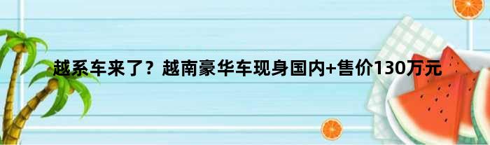 越系车来了？越南豪华车现身国内 售价130万元