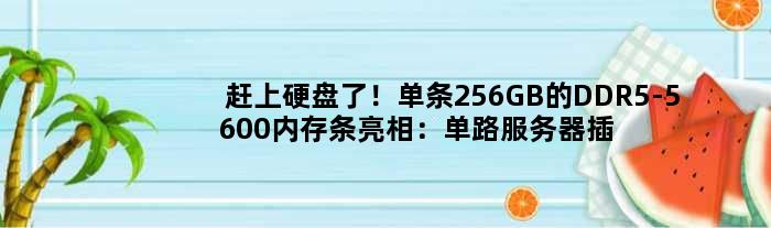 赶上硬盘了！单条256GB的DDR5-5600内存条亮相：单路服务器插满可达4TB