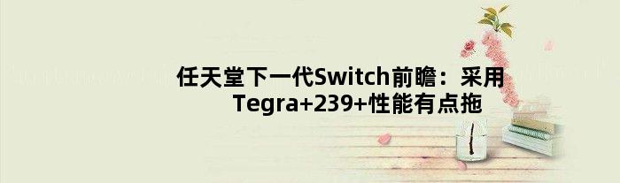 任天堂下一代Switch前瞻：采用Tegra 239 性能有点拖后腿了