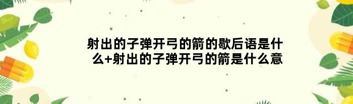 射出的子弹开弓的箭的歇后语是什么 射出的子弹开弓的箭是什么意思