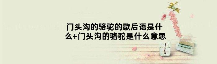 门头沟的骆驼的歇后语是什么 门头沟的骆驼是什么意思