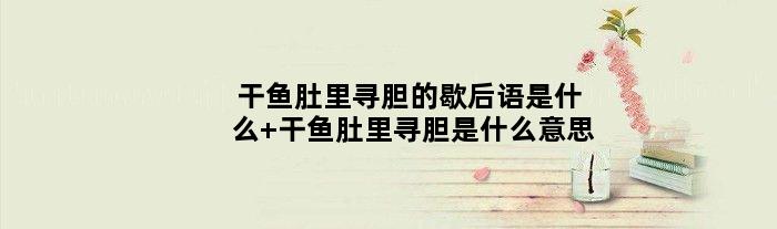 干鱼肚里寻胆的歇后语是什么 干鱼肚里寻胆是什么意思
