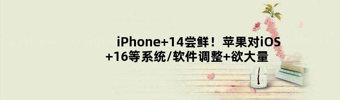 iPhone 14尝鲜！苹果对iOS 16等系统/软件调整 欲大量插入广告