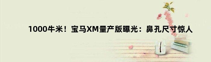 1000牛米！宝马XM量产版曝光：鼻孔尺寸惊人