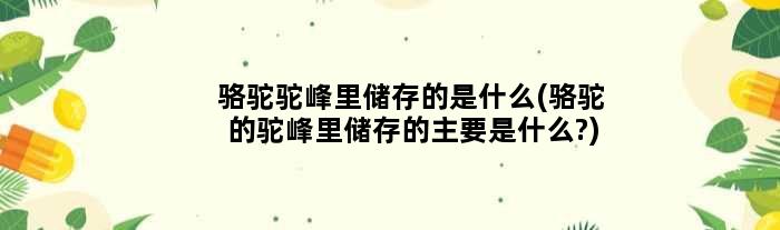 骆驼驼峰里储存的是什么(骆驼的驼峰里储存的主要是什么?)