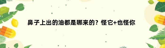鼻子上出的油都是哪来的？怪它 也怪你