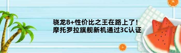 骁龙8+性价比在路上了！摩托罗拉旗舰新机通过3C认证