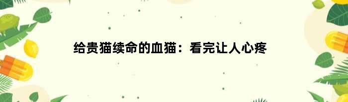 给贵猫续命的“血猫”：看完让人心疼