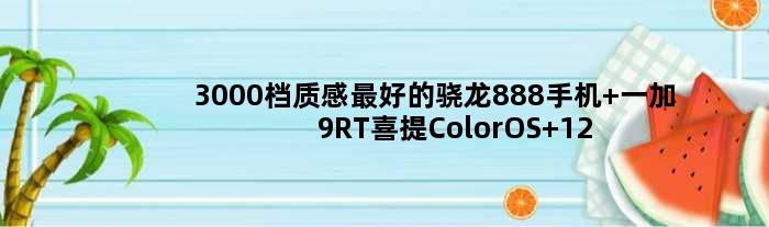 3000档质感更好的骁龙888手机 一加9RT喜提ColorOS 12：再战三年