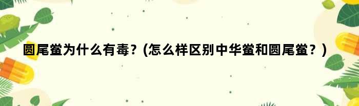 圆尾鲎为什么有毒？(怎么样区别“中华鲎”和“圆尾鲎”？)