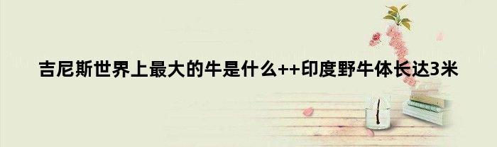 吉尼斯世界上更大的牛是什么  印度野牛体长达3米
