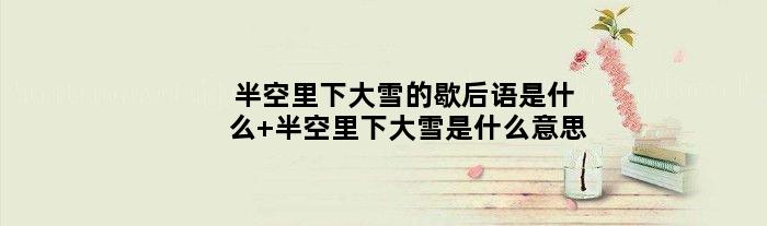 半空里下大雪的歇后语是什么 半空里下大雪是什么意思