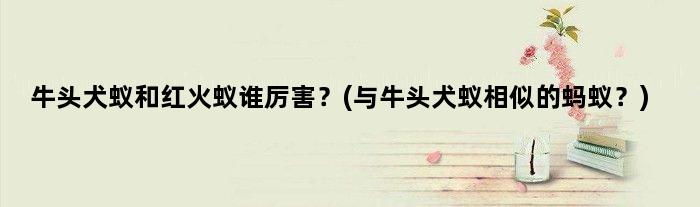 牛头犬蚁和红火蚁谁厉害？(与牛头犬蚁相似的蚂蚁？)