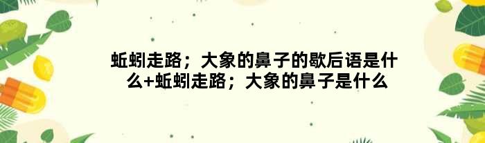 蚯蚓走路；大象的鼻子的歇后语是什么 蚯蚓走路；大象的鼻子是什么意思