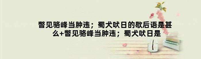 瞥见骆峰当肿违；蜀犬吠日的歇后语是甚么 瞥见骆峰当肿违；蜀犬吠日是甚么意思