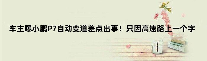 车主曝小鹏P7自动变道差点出事！只因高速路上一个“字”