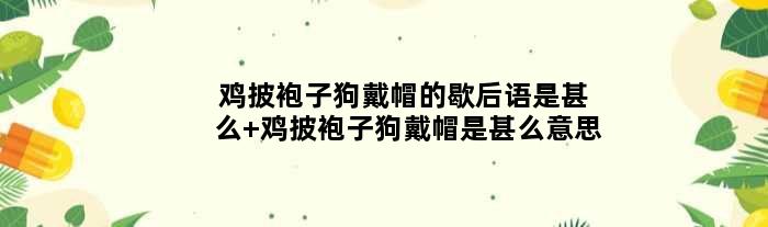 鸡披袍子狗戴帽的歇后语是甚么 鸡披袍子狗戴帽是甚么意思