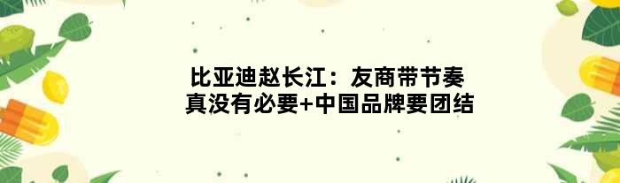比亚迪赵长江：友商带节奏真没有必要 中国品牌要团结