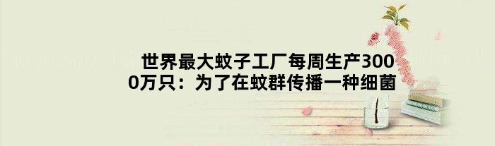 世界更大蚊子工厂每周生产3000万只：为了在蚊群传播一种细菌