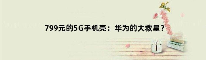 799元的5G手机壳：华为的大救星？
