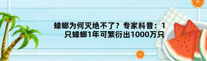 蟑螂为何灭绝不了？专家科普：1只蟑螂1年可繁衍出1000万只