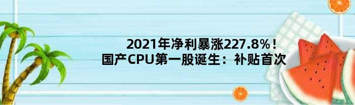 2021年净利暴涨227.8%！国产CPU股诞生：补贴公开