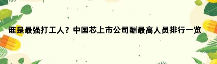 谁是最强打工人？中国芯上市公司酬更高人员排行一览