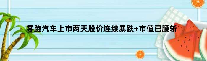零跑汽车上市两天股价连续暴跌 市值已腰斩