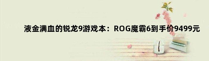 液金满血的锐龙9游戏本：ROG魔霸6到手价9499元
